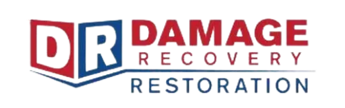 Damage Recovery Restoration